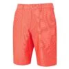 Ping Ashcroft Golf Shorts P03417 1 Ping Ashcroft Golf Shorts P03417 -Golf Edge Wear Sales ping ashcroft golf shorts p03417 3907
